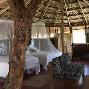 Lodge Moringa Ingadi, Treasure Beach